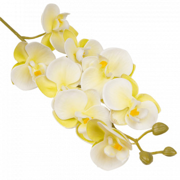 Süni gül Orchid Cream/Yellow L638L-03