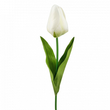 Süni gül Tulip Cream L777-03