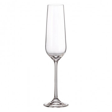 Globo Titanium Şampan Bakali 230 ml, 4 əd