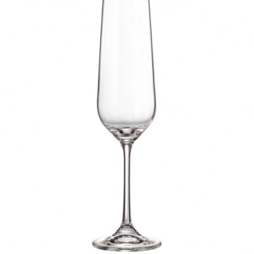 Tori Titanium Şampan Bakali 210 ml, 6 əd