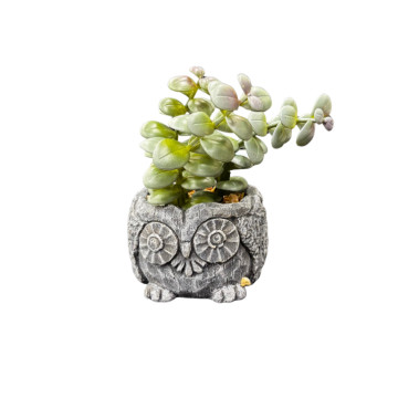 Süni Sukkulent Dıbçək “Bayquş”