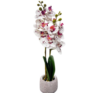 Dibçəkdə süni gül orxideya (ağ)