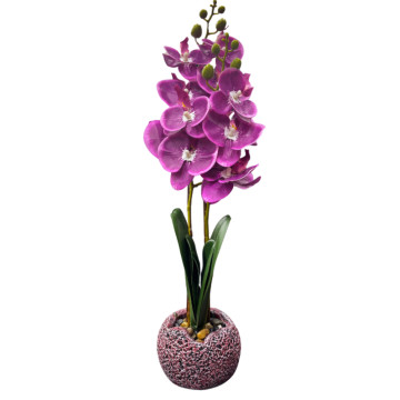Dibçəkdə süni gül orxideya (bənövşəyi)