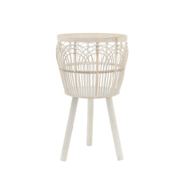 Həsir çiçəklı orta bej