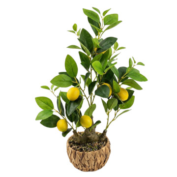 Dibçəkdə Süni Gül Limon Ağacı
